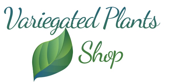 Variegated Plants Shop